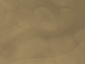 数字技术常见问题：设备噪音的解决技巧